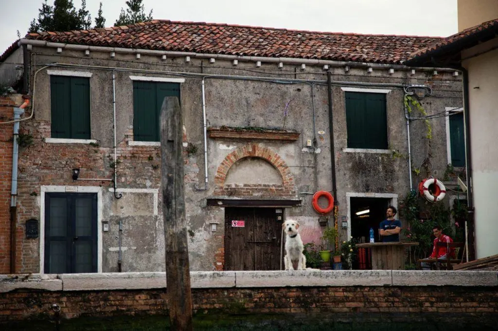 Sites outside of the main tourist areas on our Venice batellina ride.