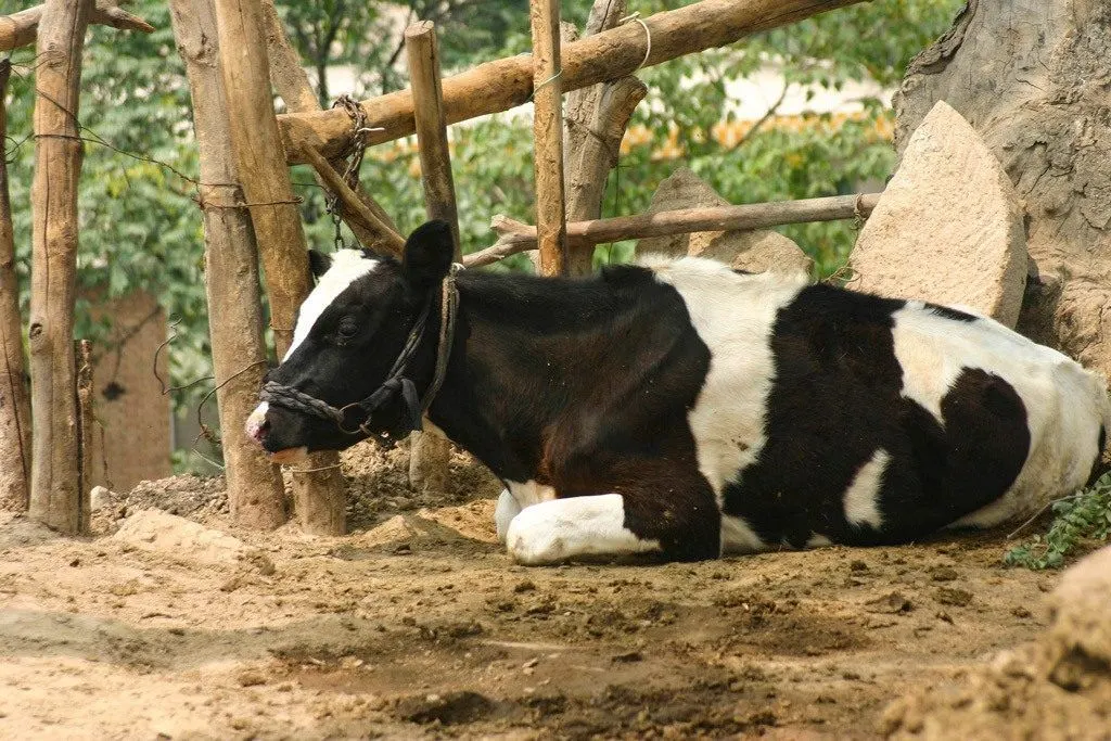 A surprise addition to our Xian itinerary was visiting the cave hotels on the outskirts of the city.